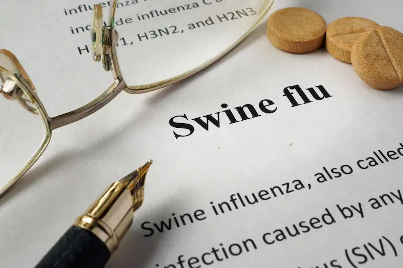 Swine Flu Symptoms and Treatment A Complete Guide
